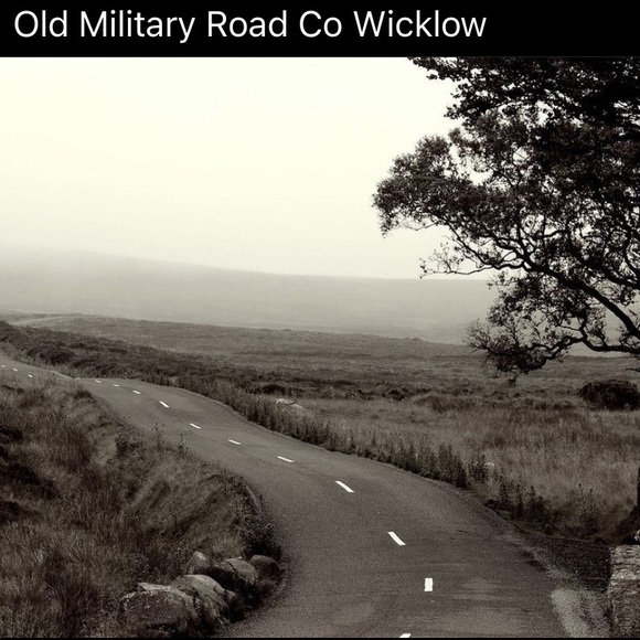 Meet your Posher, Seamus - Picture 3 of 7